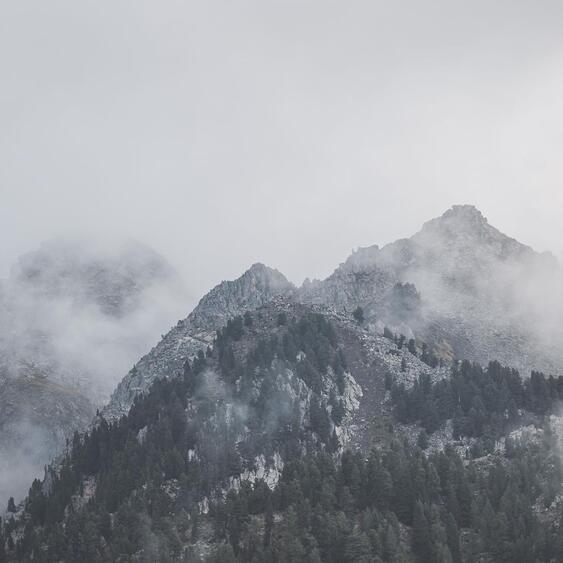 Bewaldete Hänge und markante Berge im Nebel.