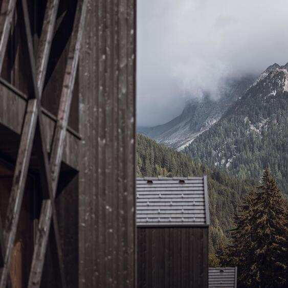 Boschi e montagne avvolti nella nebbia, con chalet in primo piano.