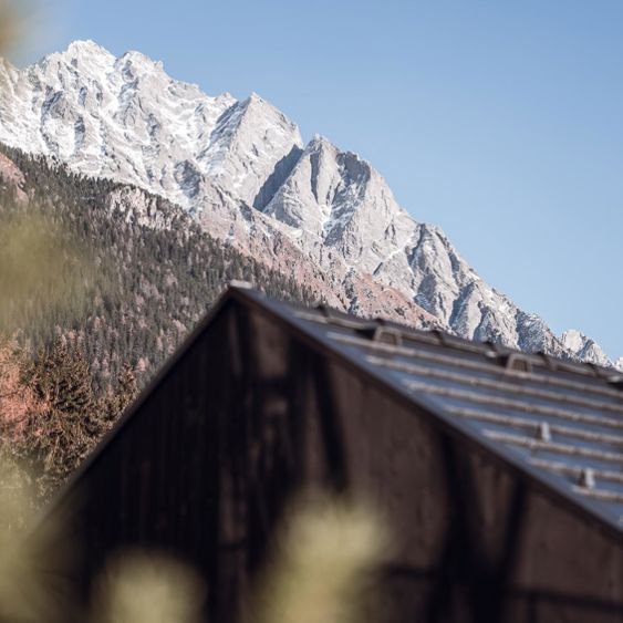 058-amus-kottersteger-c-kottersteger-221208-k1100257