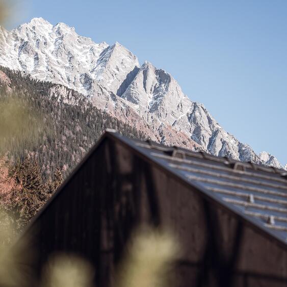 Facciata in legno scuro di uno chalet con imponenti montagne sullo sfondo e una conifera davanti.