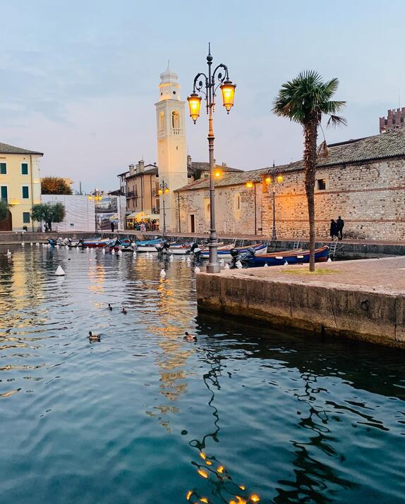 Harbour with small boats, historic stone buildings, a bell tower and a palm tree in the evening light, with illuminated street lamps.