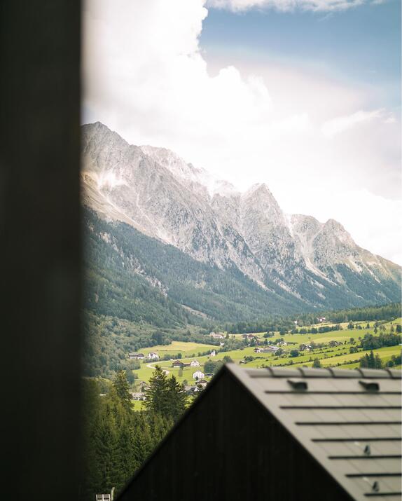 Blick über das dunkle Dach eines Amus Chalets auf grüne Wiesen, bewaldete Hänge und eine Berglandschaft.