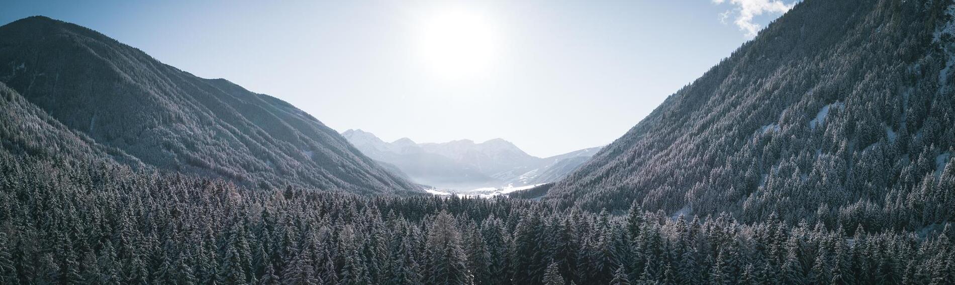 Panoramablick über einen verschneiten Nadelwald in einem winterlichen Tal mit schneebedeckten Bergen im Hintergrund..