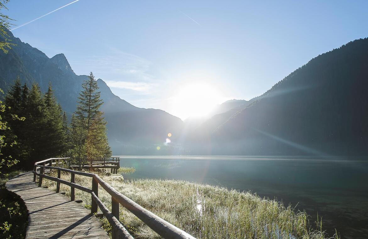 Pontile in legno sulla riva del lago, illuminato dal sole, con canneti, alberi e montagne sullo sfondo.